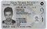 New York-NY Fake ID - View 1 - Fake ID Details